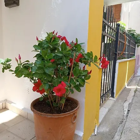 Stefanos Family Apartment Lefkada City Exterior photo
