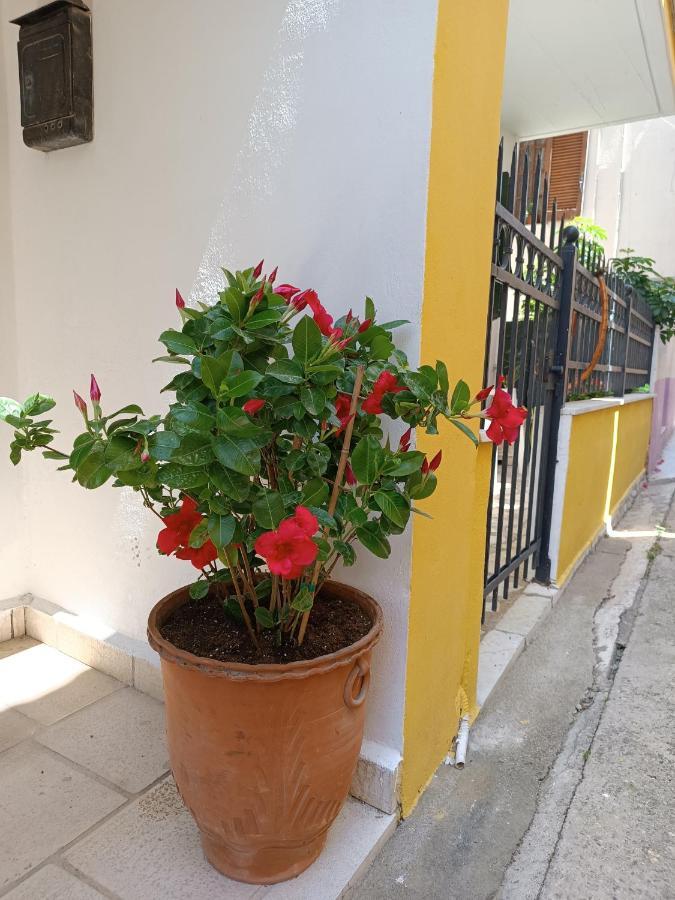 Stefanos Family Apartment *